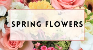 Flower Delivery to Monroe by Monroe Florist